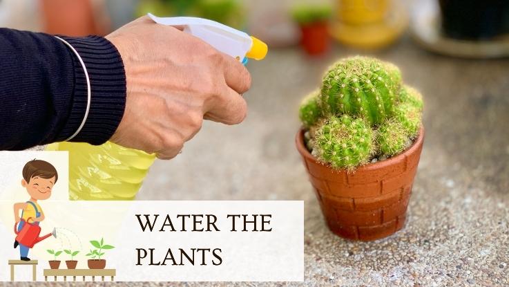 Water The Plants