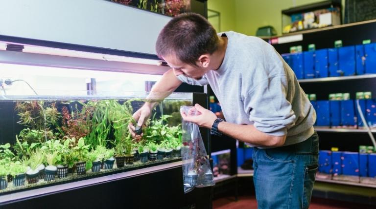 Remove All Your Plants Carefully