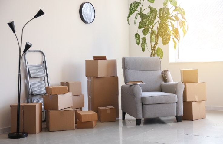 Furniture Removalists