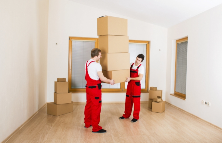 Safe Removalists